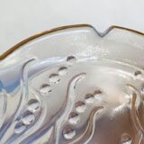 Plat coupe opalescente
