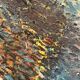 Grande huile sur toile suédoise originale – « Composition » par Valter Gibson
