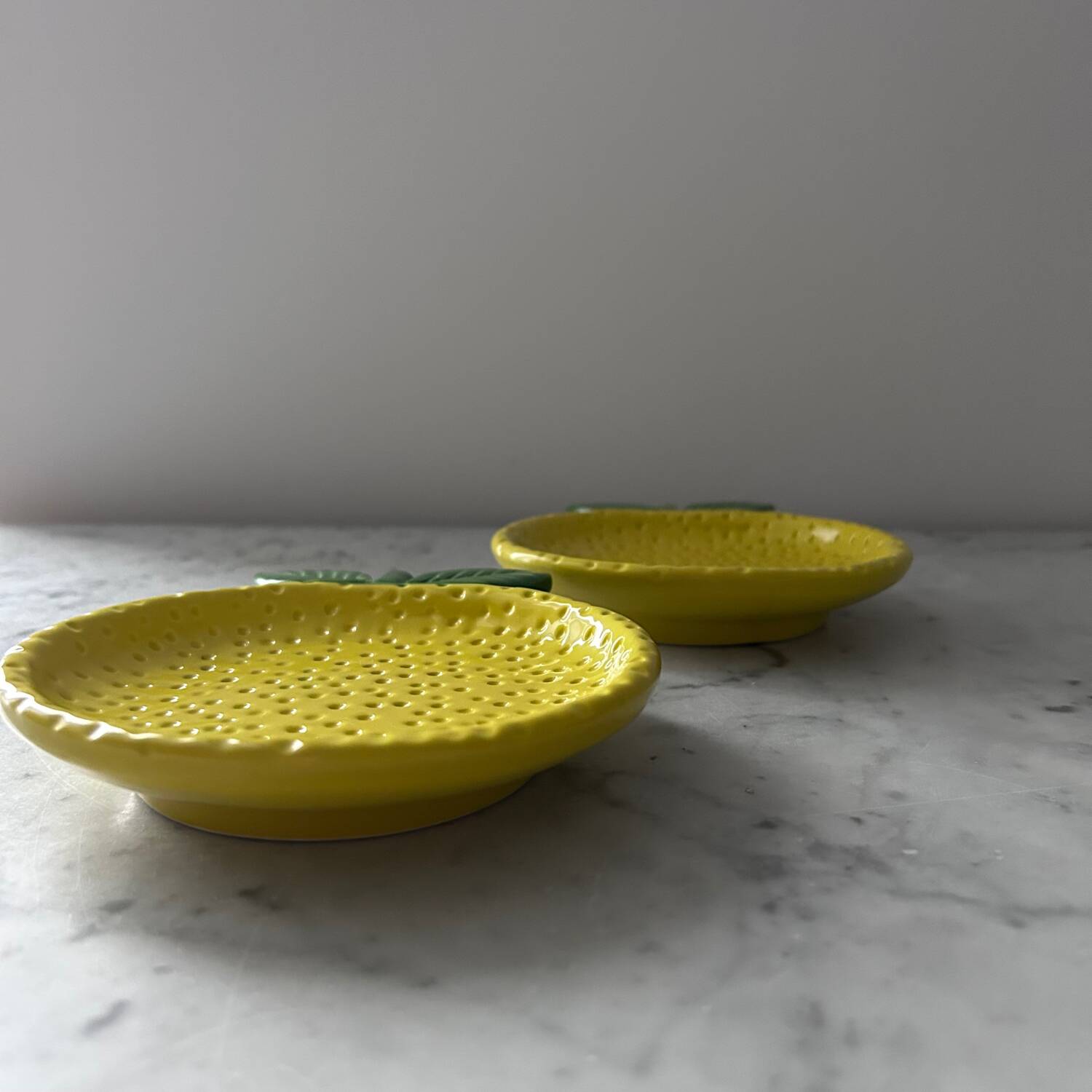 Paire de plats citrons en barbotine