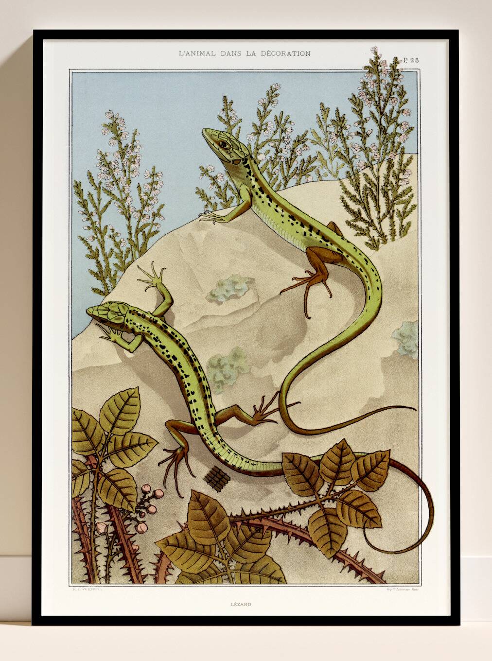 Poster “Lizard”, after an Art Nouveau lithograph from 1897
