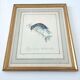 Golden frame engraving nightingale