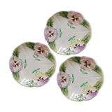 3 plates in slurry "Pensées" Choisy-le-Roi, nineteenth century