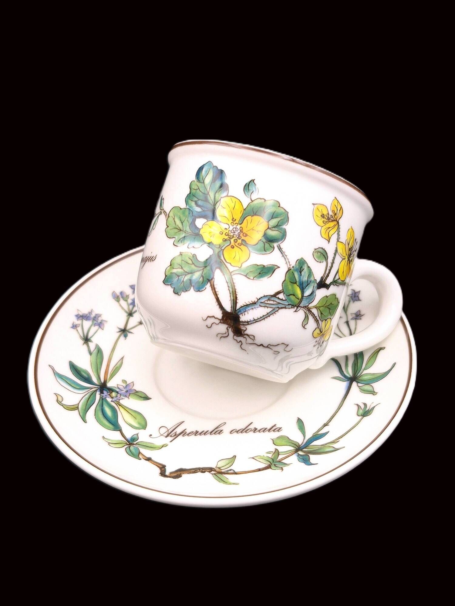 Set of 6 coffee cups and saucers Villeroy & Boch, vintage, Botanica