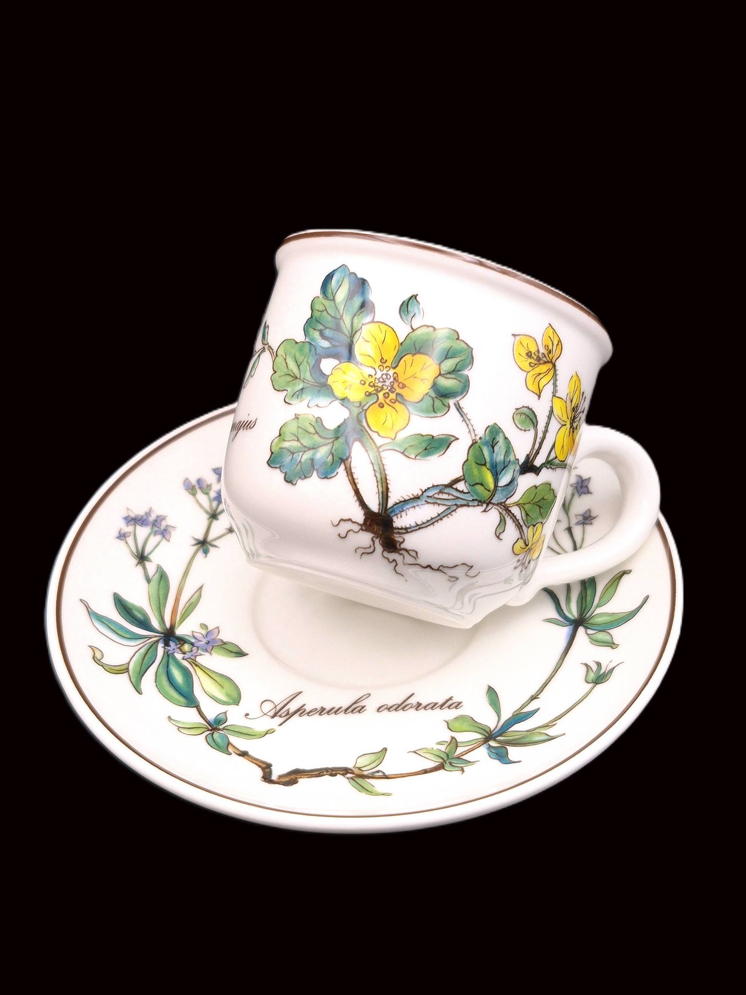 Set of 6 coffee cups and saucers Villeroy & Boch, vintage, Botanica