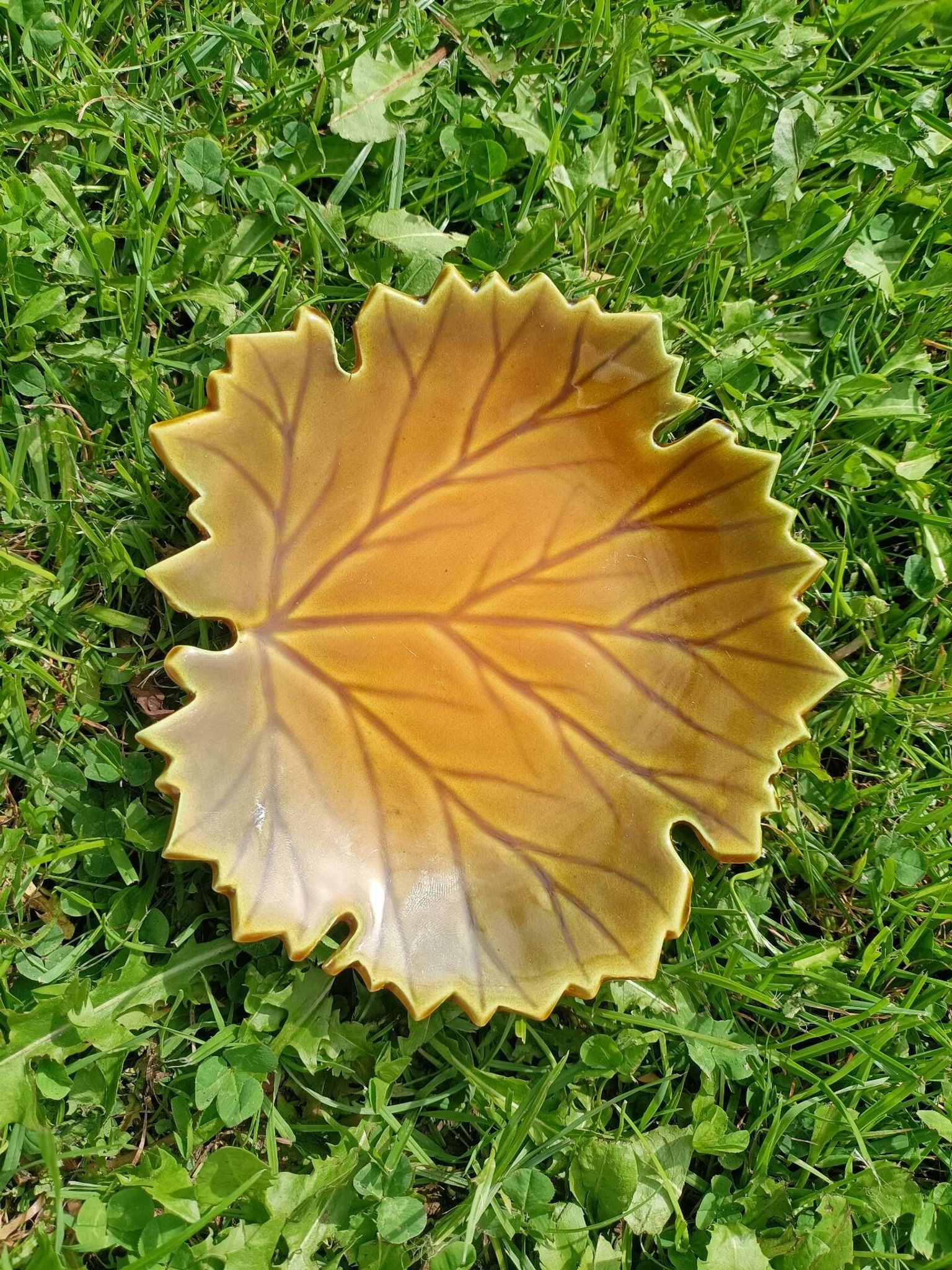 Vide poche Feuille Automne