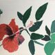 Tableau fleur exotique rouge