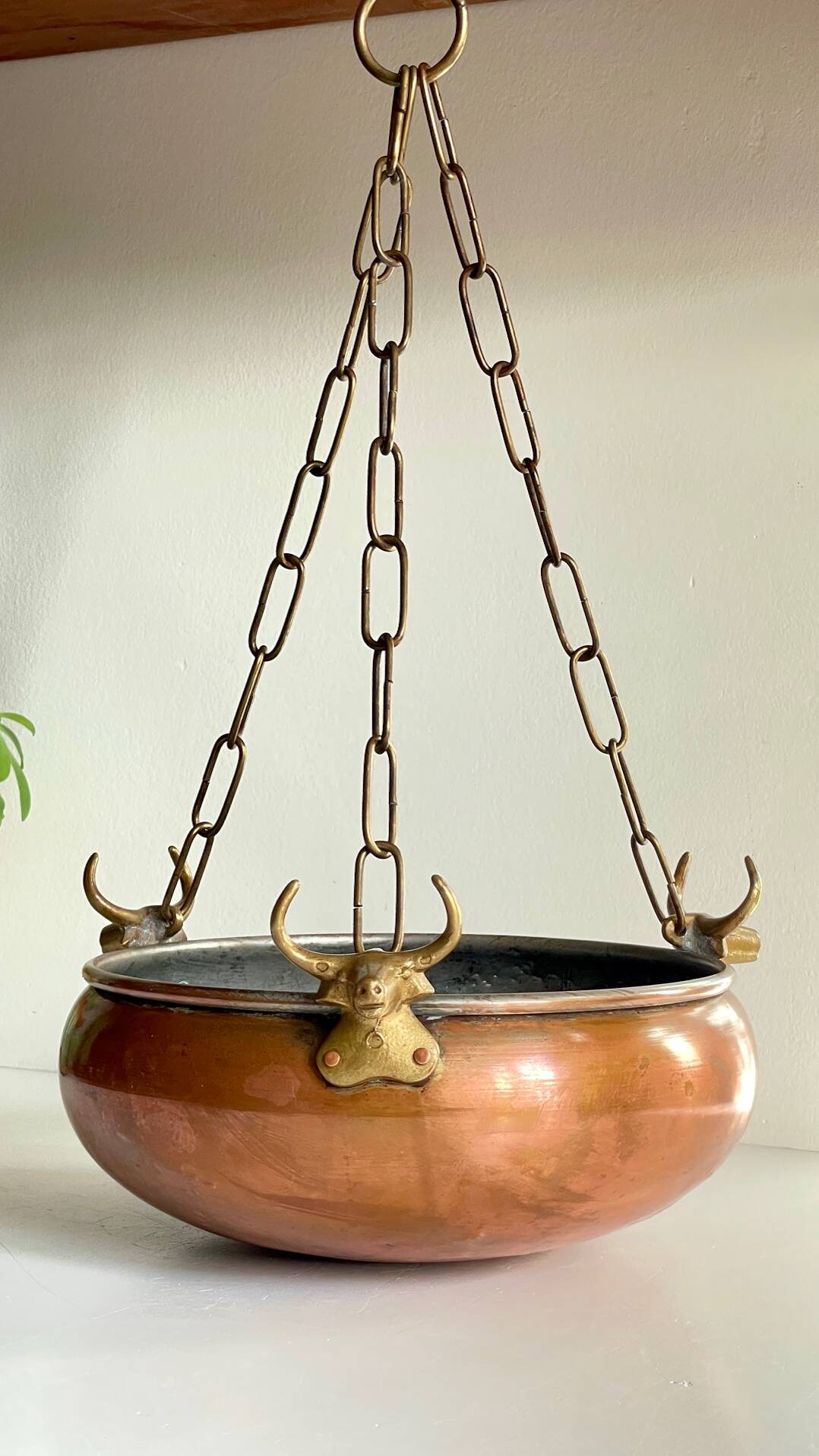 Vintage 3 buffalo hanging planter