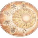 Barrois coffee table