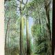 Kaki Brunet (1926-2012) "Spring in the Woods" oil on canvas