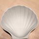 Set of 6 ceramic shells