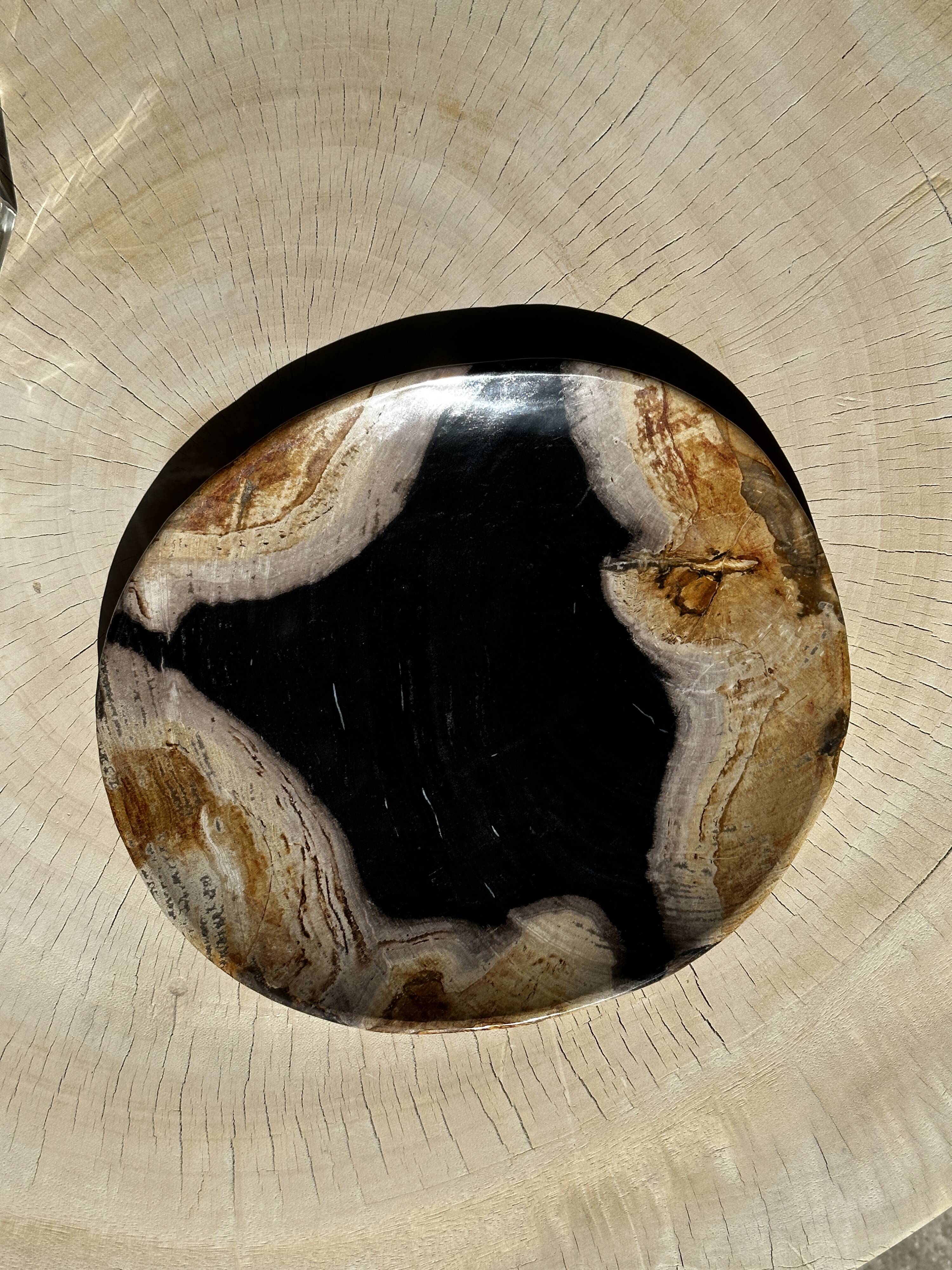 Empty pocket or dish in medium petrified wood
