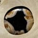 Empty pocket or dish in medium petrified wood