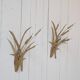 Vintage Brass Wall Lights, 1970s, Set of 2