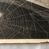 Zoological school poster representing the bat