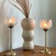 Pair of tulip-shaped candle holders in frosted glass and brass.