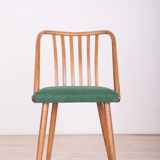 Green Dining Chairs by Antonín Šuman for Ton, 1960