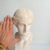 Bust of Venus