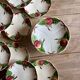 Antique barbotine service with Choisy le Roi apple decorations