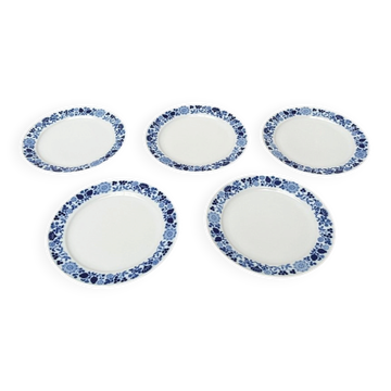 Set of German ceramic plates from the mid-century Hamburg Shape 20 Decor Blumenspiel by Lieselotte Kantner for Melitta, 1960s, set of 5.