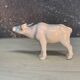 Small porcelain bull
