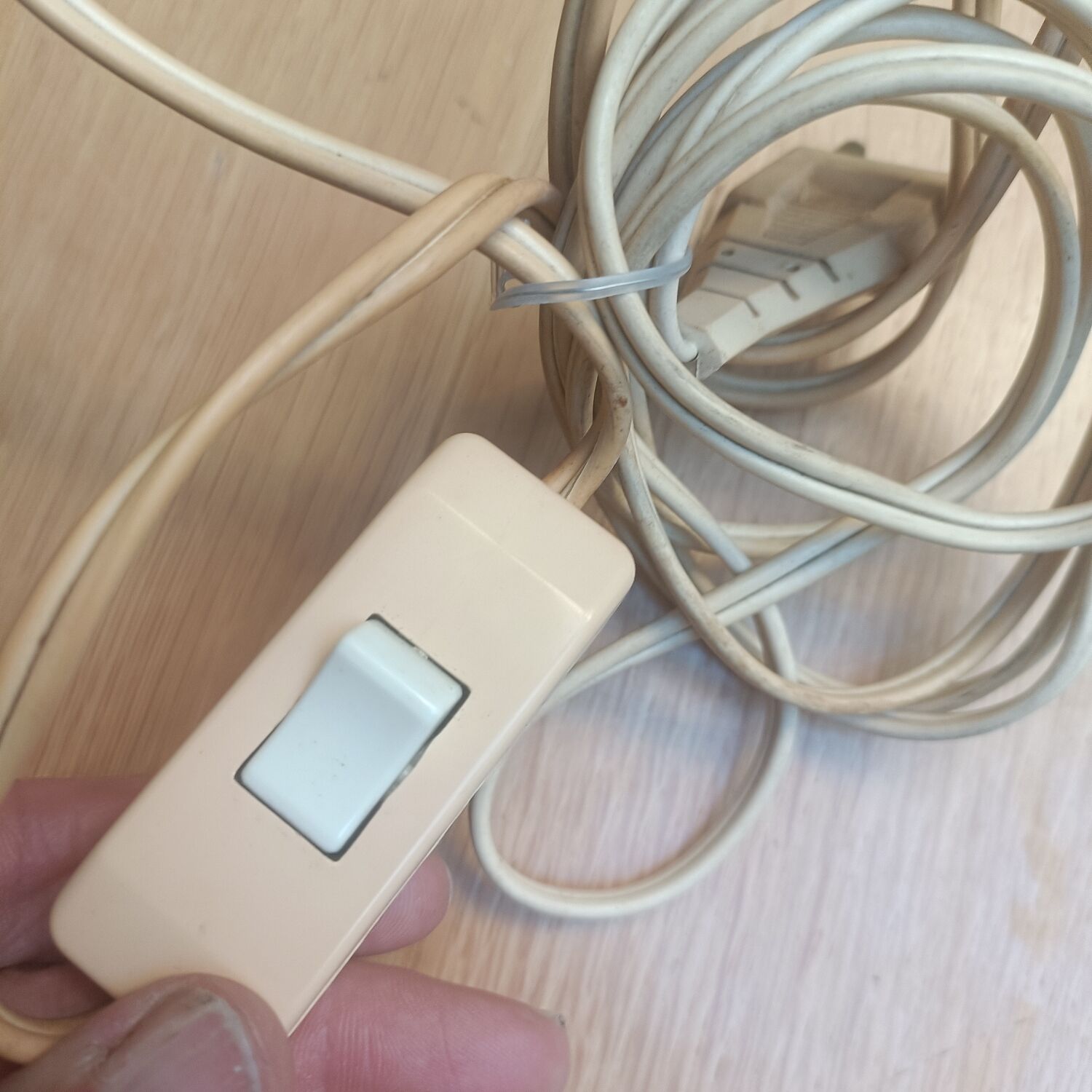 English lamp base, ostrich egg