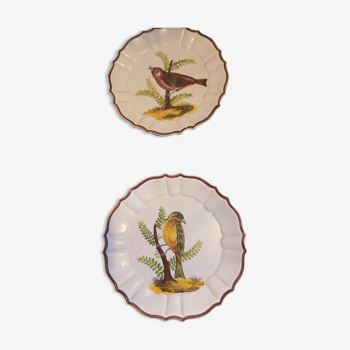 Bassano bird plates