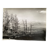 Photographie argentique Bernard Darot Paysage de montagne XXe