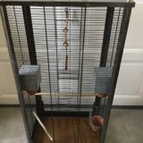 Bird cage, restored