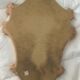 Antique shell mirror, gilded, Louis XV style