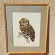 Framed tableau under glass, owl with butterfly wings.