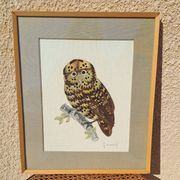 Framed tableau under glass, owl with butterfly wings.