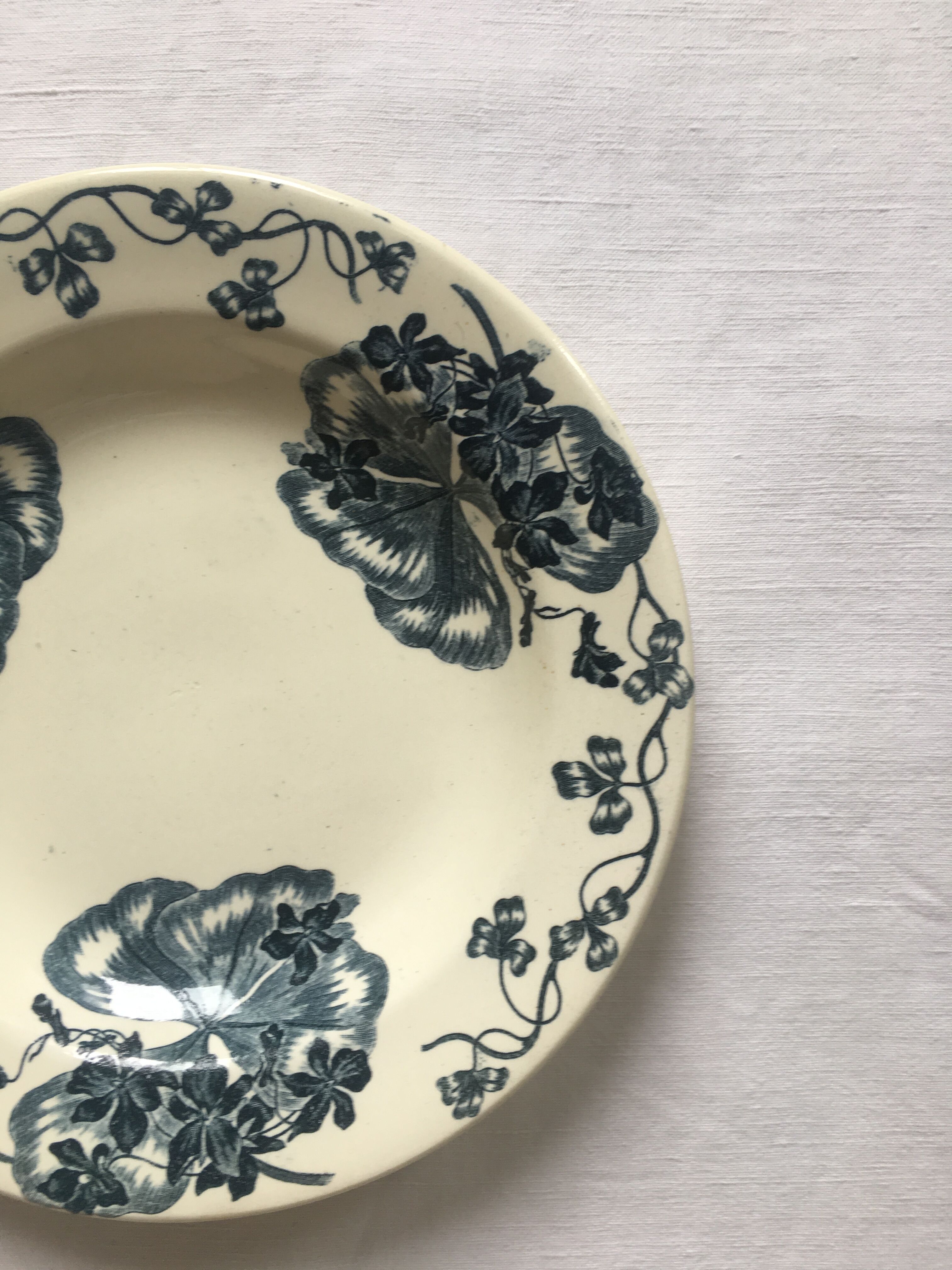 6 hollow plates Terre de Fer Salins Les Violettes