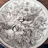 Pavesi plates