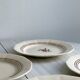 7 earthenware plates, hand-painted floral decoration, Sarreguemines, Armelle model