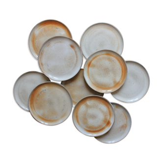 Flat plates in sandstone from the vintage 70s marsh
