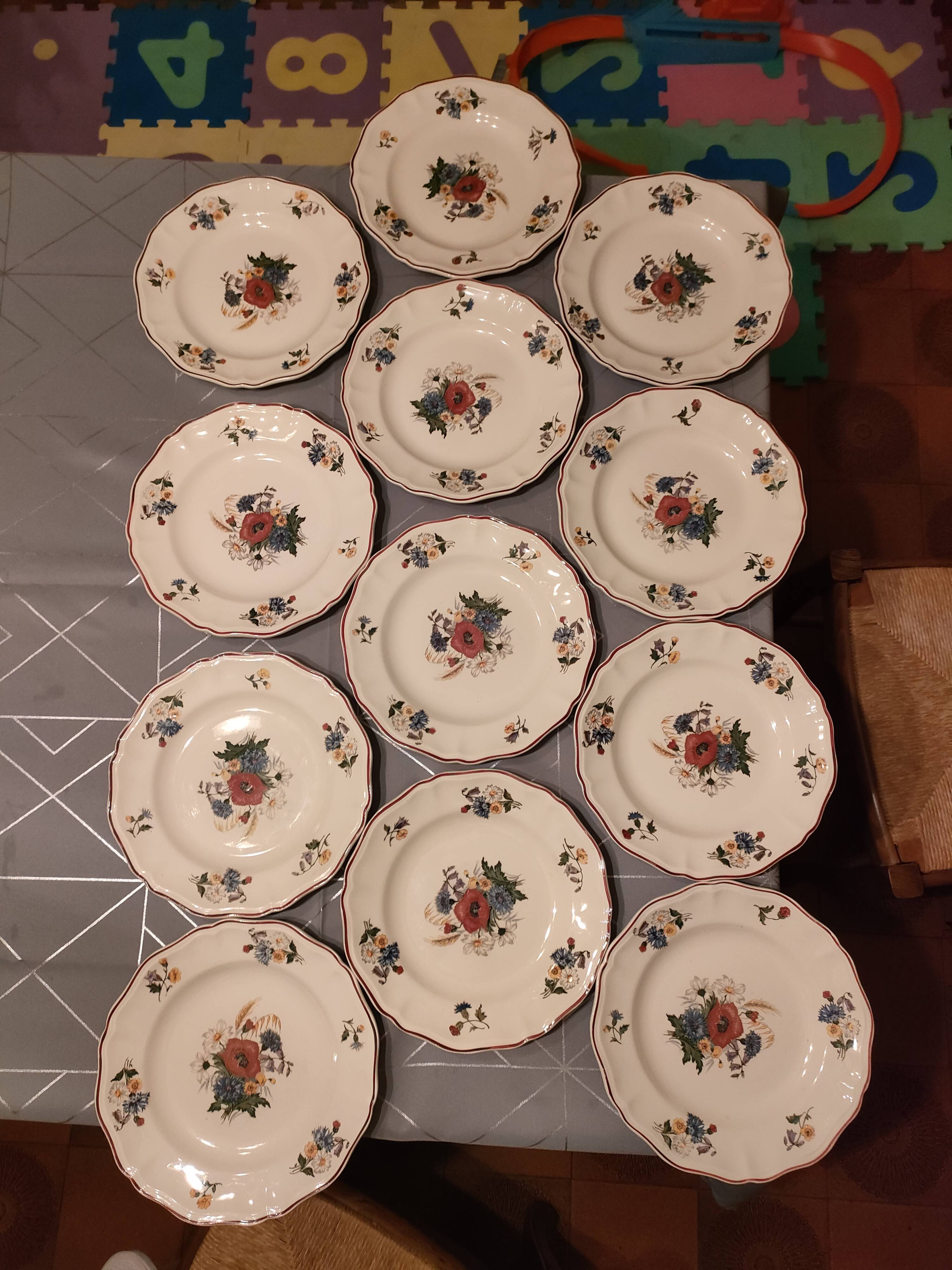 Flat plates sarguemines agreste