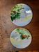 Two wall plates