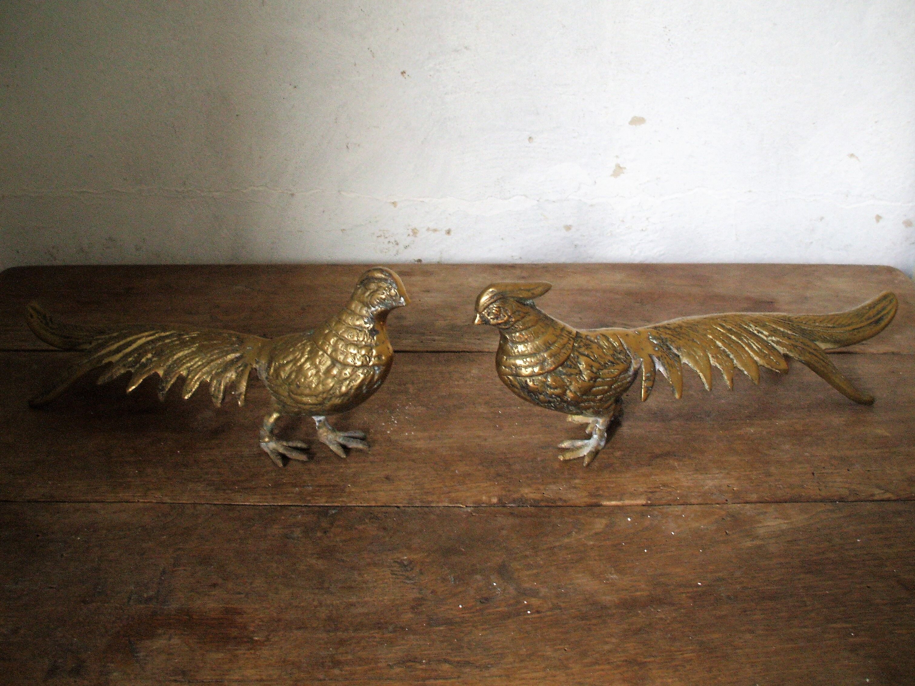 Brass pheasant couple