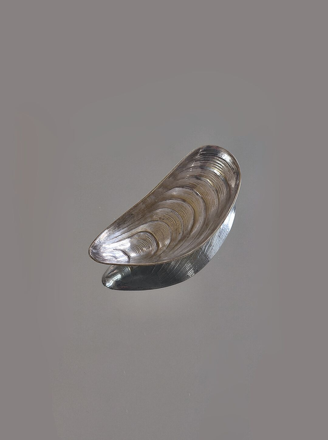 Shell-shaped bowl