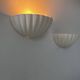 Pair of vintage shell wall lights, cream white, France 1970.