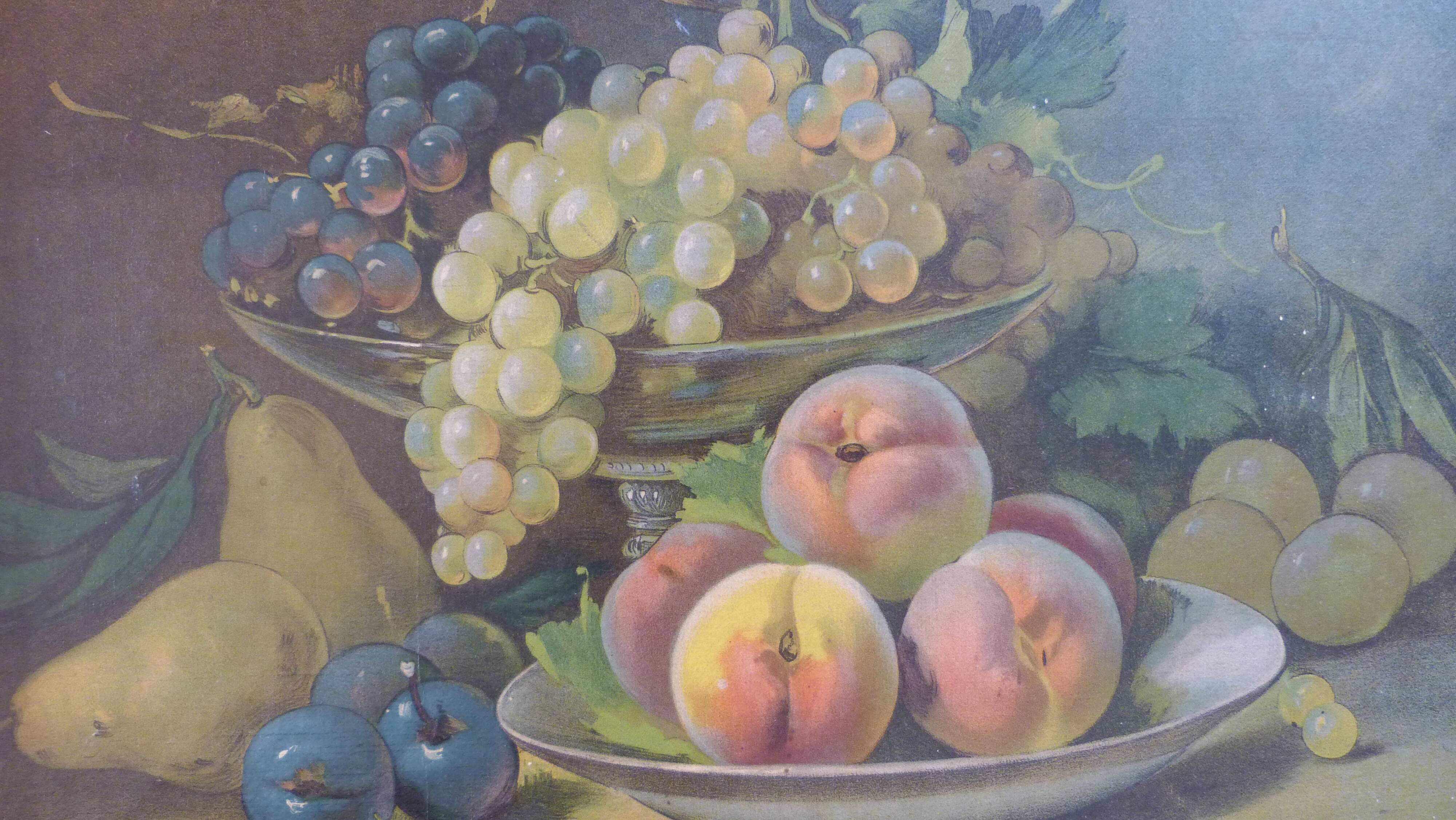 Oil on canvas still life with fruit by J. Rubel