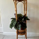 Porte plante seventy’s rotin bambou