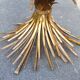 Coffee table Hans Kogl 60s-70s