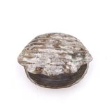 Ceramic shell emptier by Kostanda, Vallauris, 1960s