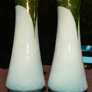 2 flowered vases St Amand early 20th century