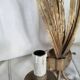 Pair of vintage wall lights, two golden arms, foliage
