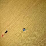 Gabbeh Kilim rug 200x135 cm