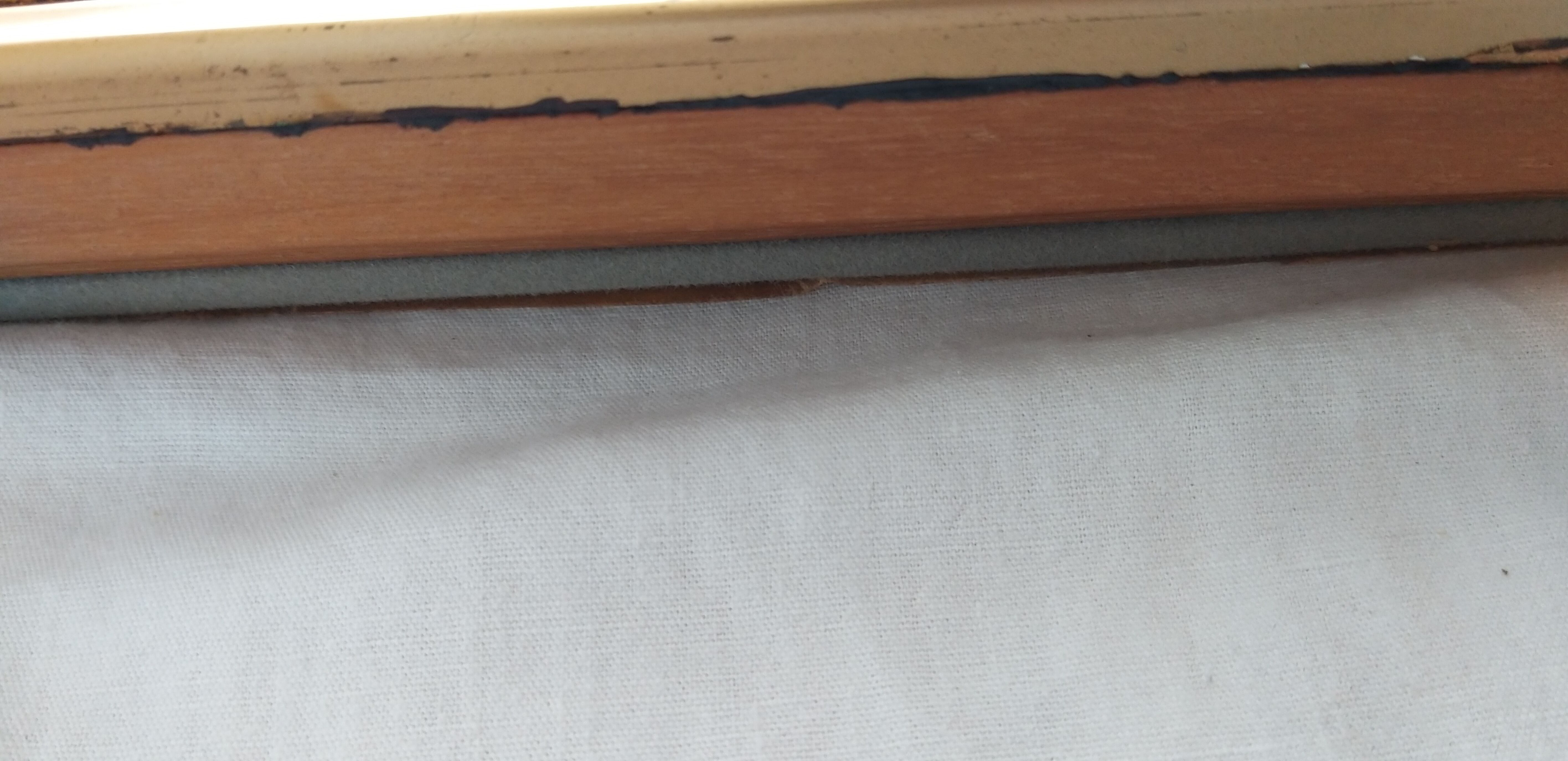 Frame 10 naturalised butterflies