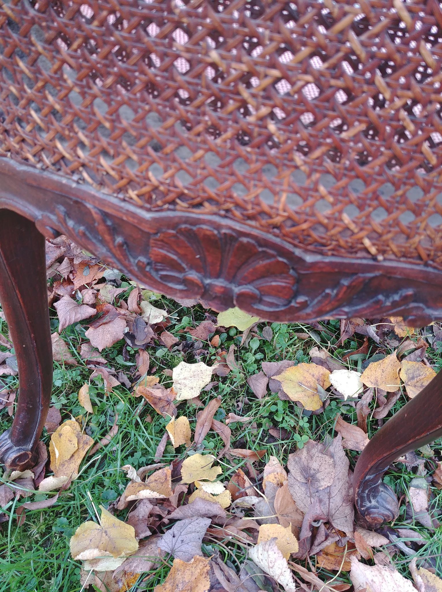 Cane chair
