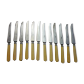 12 knives old paris steel blade